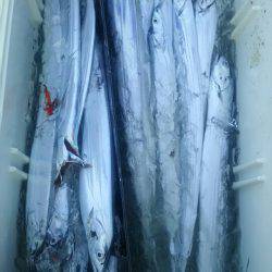 サンマリン 釣果