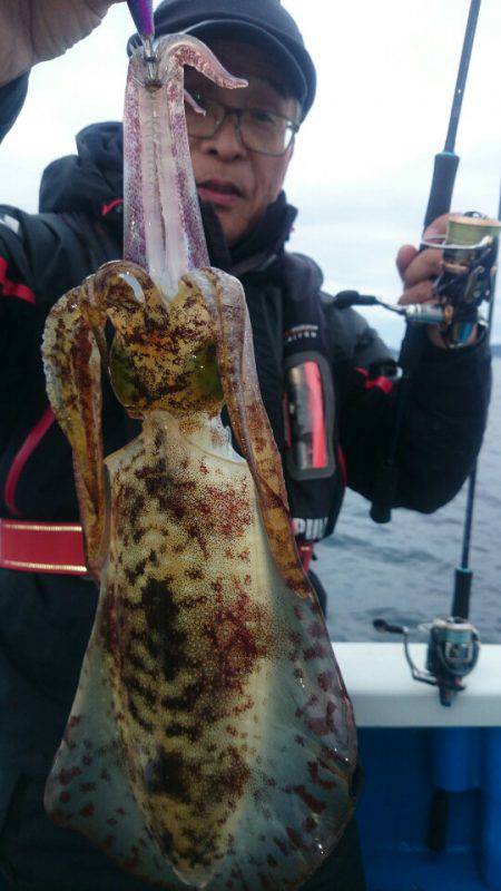 第三共栄丸 釣果