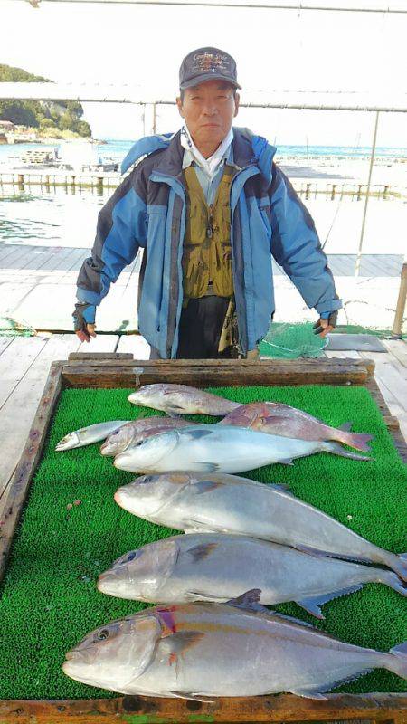 海の釣堀 海恵 釣果