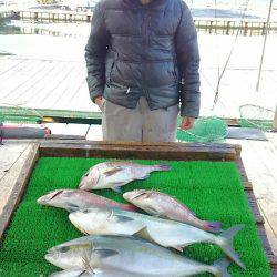 海の釣堀 海恵 釣果
