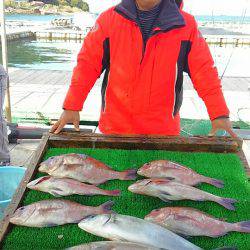 海の釣堀 海恵 釣果