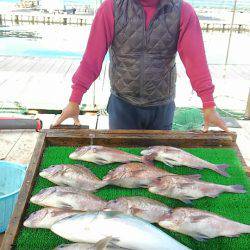 海の釣堀 海恵 釣果