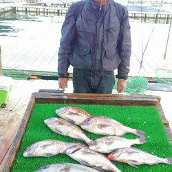 海の釣堀 海恵 釣果