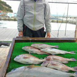 海の釣堀 海恵 釣果