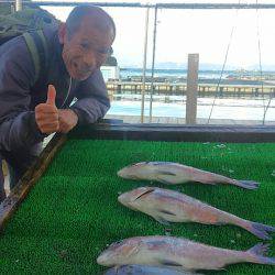 海の釣堀 海恵 釣果