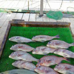 海の釣堀 海恵 釣果