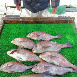 海の釣堀 海恵 釣果