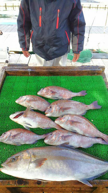 海の釣堀 海恵 釣果