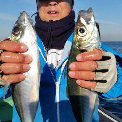 金沢八景鴨下丸 釣果