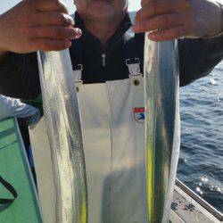 金沢八景鴨下丸 釣果