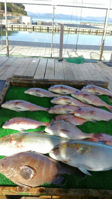 海の釣堀 海恵 釣果