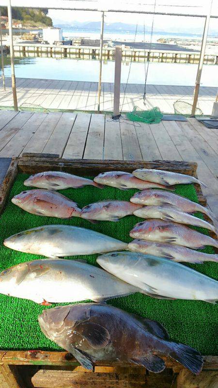 海の釣堀 海恵 釣果