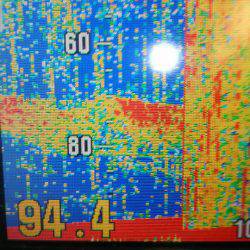 サンマリン 釣果