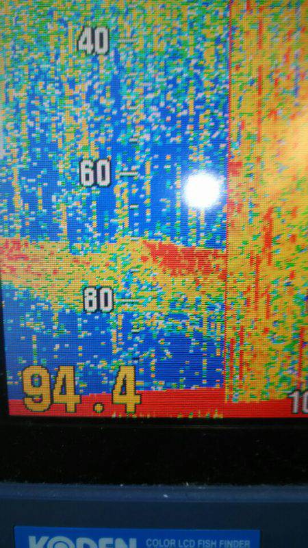 サンマリン 釣果