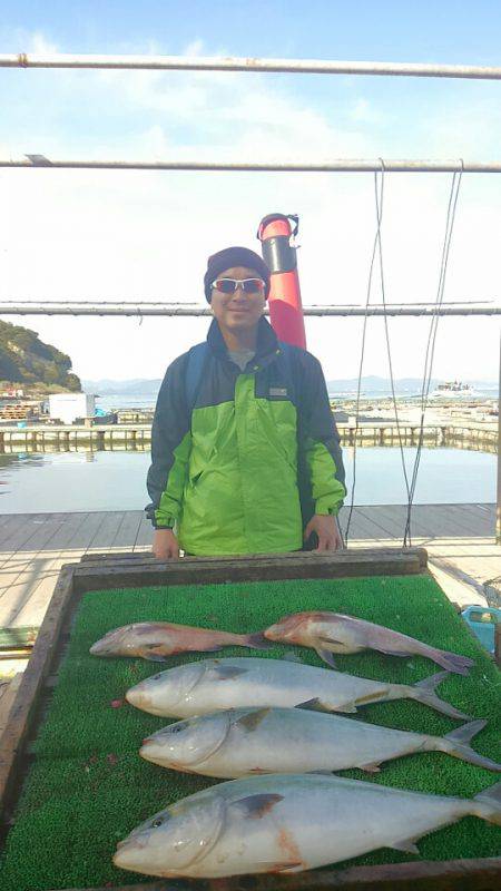 海の釣堀 海恵 釣果