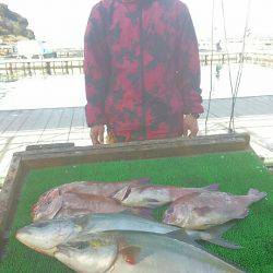 海の釣堀 海恵 釣果