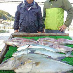 海の釣堀 海恵 釣果