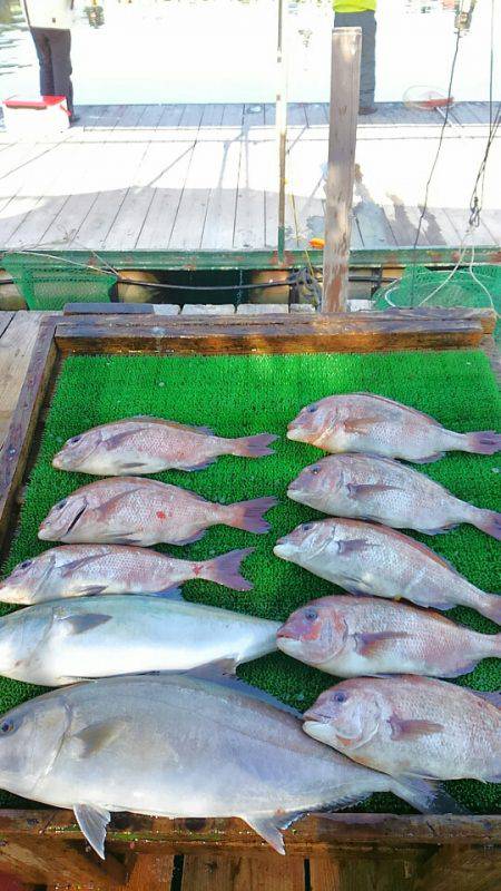 海の釣堀 海恵 釣果