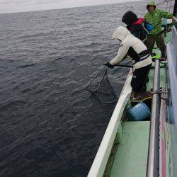 あみや渡船 JIGBOY 釣果