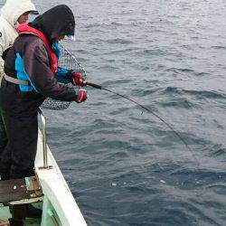 あみや渡船 JIGBOY 釣果