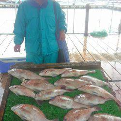 海の釣堀 海恵 釣果
