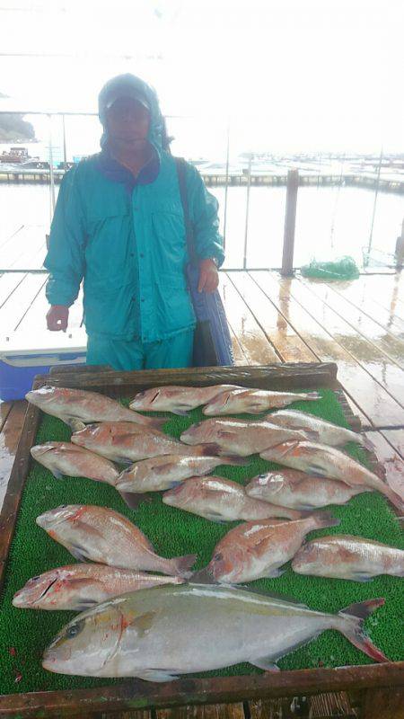 海の釣堀 海恵 釣果