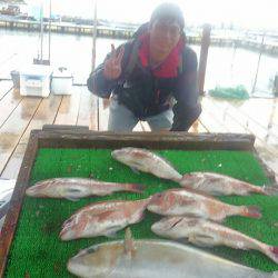 海の釣堀 海恵 釣果