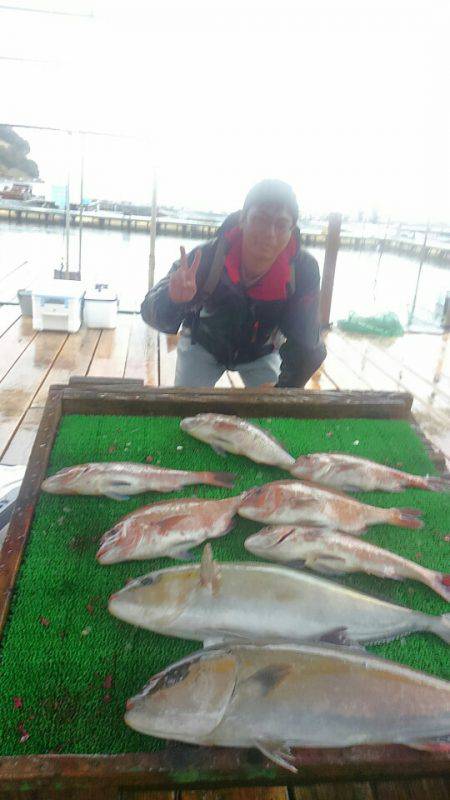海の釣堀 海恵 釣果
