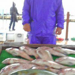 海の釣堀 海恵 釣果