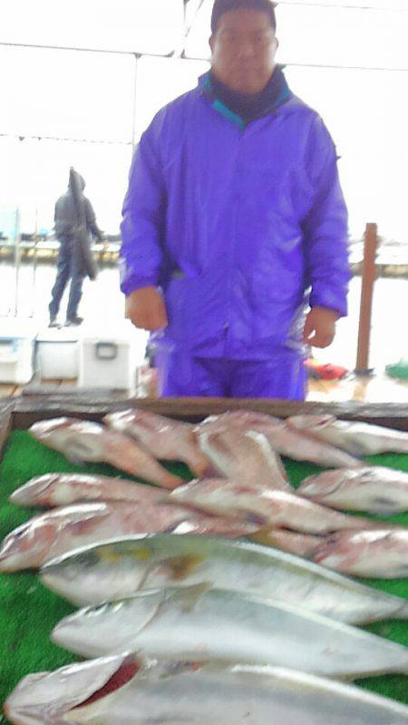 海の釣堀 海恵 釣果