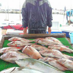 海の釣堀 海恵 釣果
