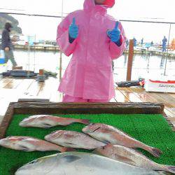 海の釣堀 海恵 釣果