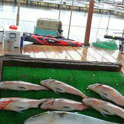 海の釣堀 海恵 釣果