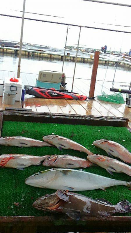 海の釣堀 海恵 釣果