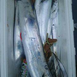 サンマリン 釣果