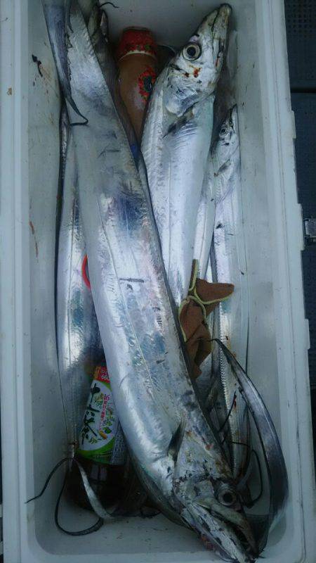 サンマリン 釣果