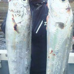 サンマリン 釣果