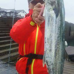 サンマリン 釣果