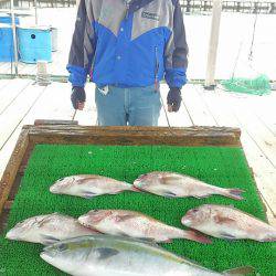 海の釣堀 海恵 釣果