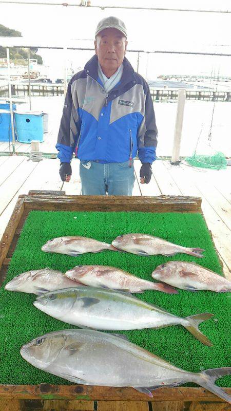 海の釣堀 海恵 釣果