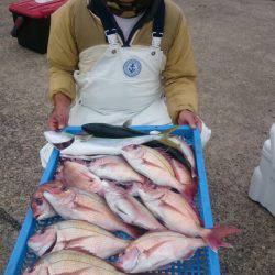 第三共栄丸 釣果