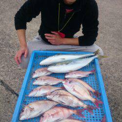 第三共栄丸 釣果