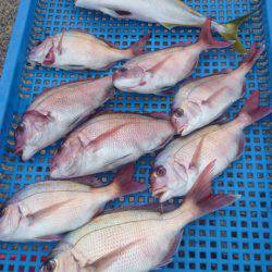 第三共栄丸 釣果