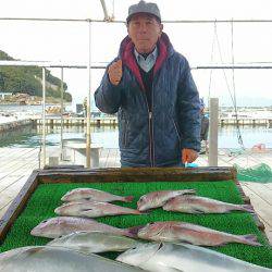 海の釣堀 海恵 釣果