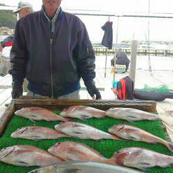 海の釣堀 海恵 釣果