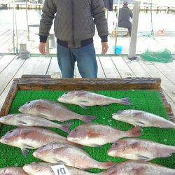 海の釣堀 海恵 釣果