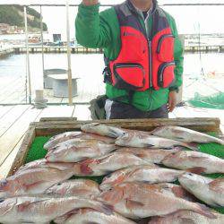 海の釣堀 海恵 釣果