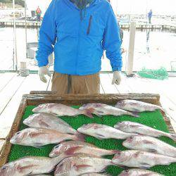 海の釣堀 海恵 釣果