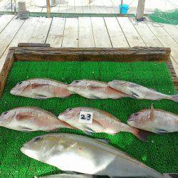 海の釣堀 海恵 釣果