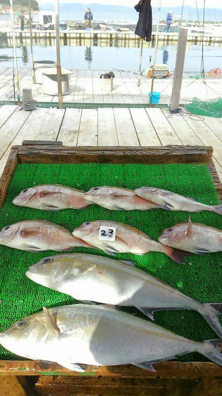 海の釣堀 海恵 釣果